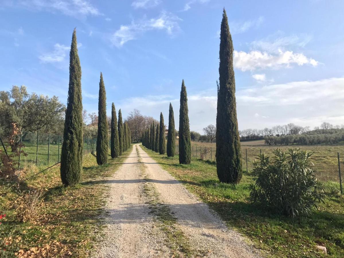 Agriturismo La Lampada Di Atena Vetralla Eksteriør billede