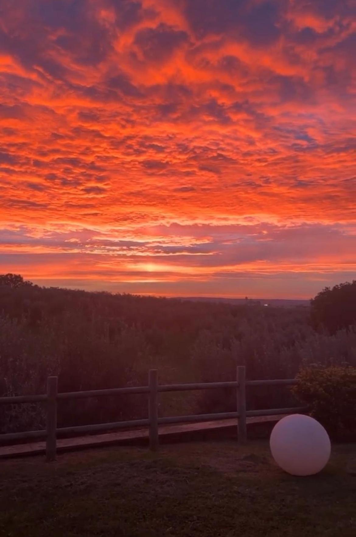 Agriturismo La Lampada Di Atena Vetralla Eksteriør billede